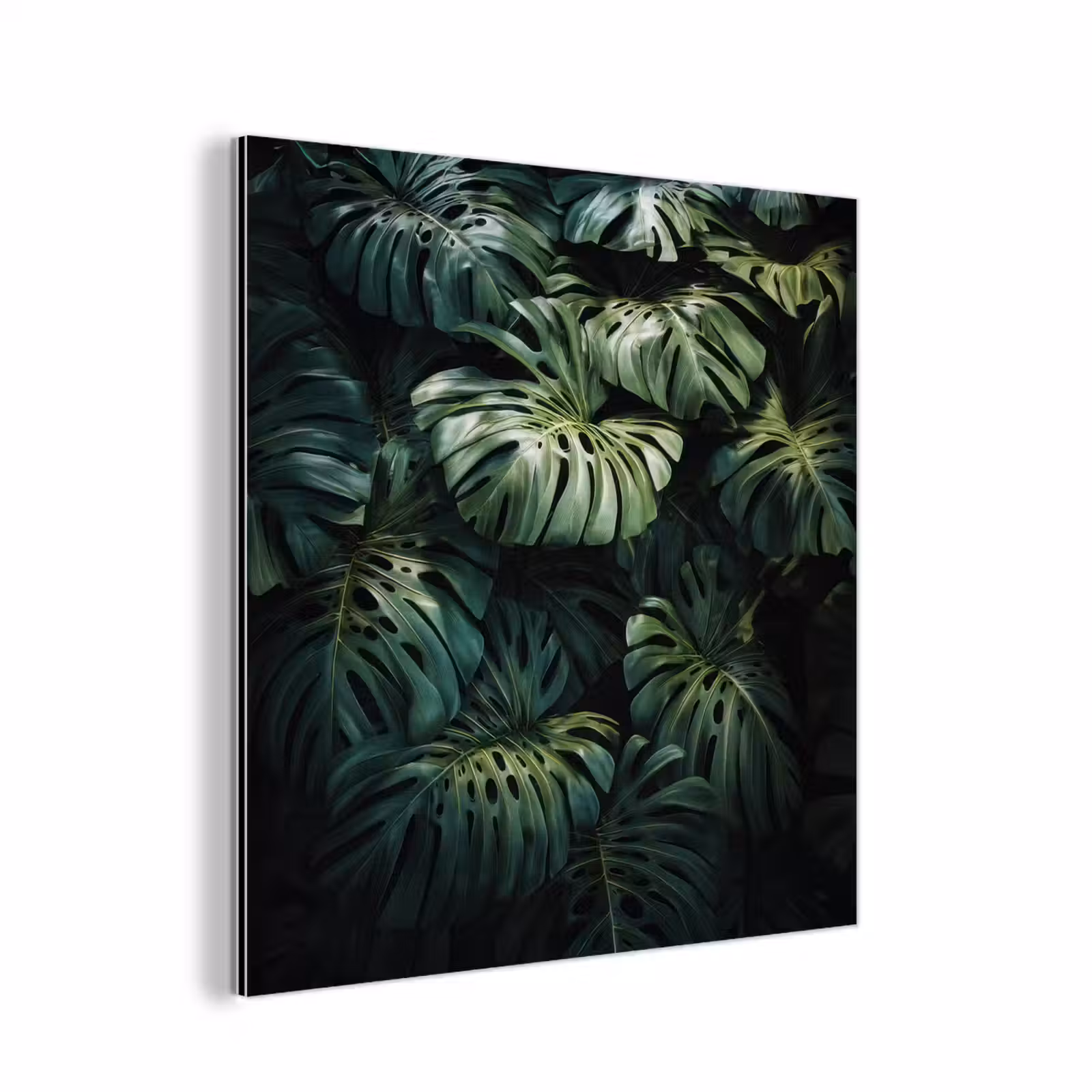 Aluminium schilderij - Plant - Monstera - Lichtinval — 1