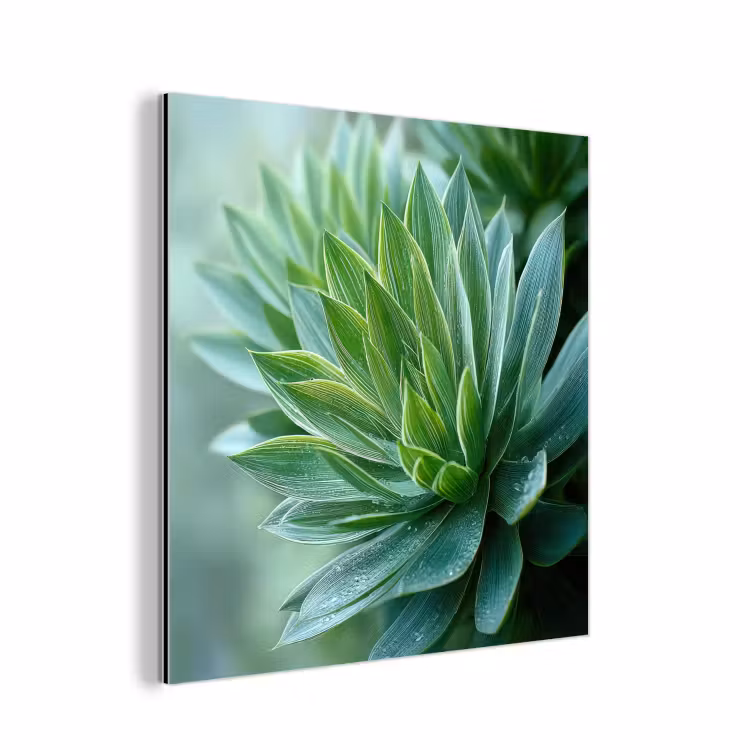 Aluminium schilderij - Blad - Plant - Groen - Textuur — 1