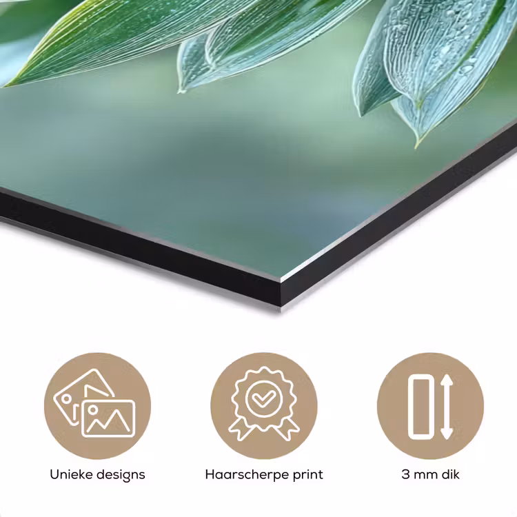 Aluminium schilderij - Blad - Plant - Groen - Textuur — 7