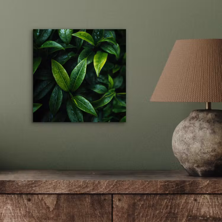 Aluminium schilderij - Bladeren - Regendruppels - Licht - Groen — 3