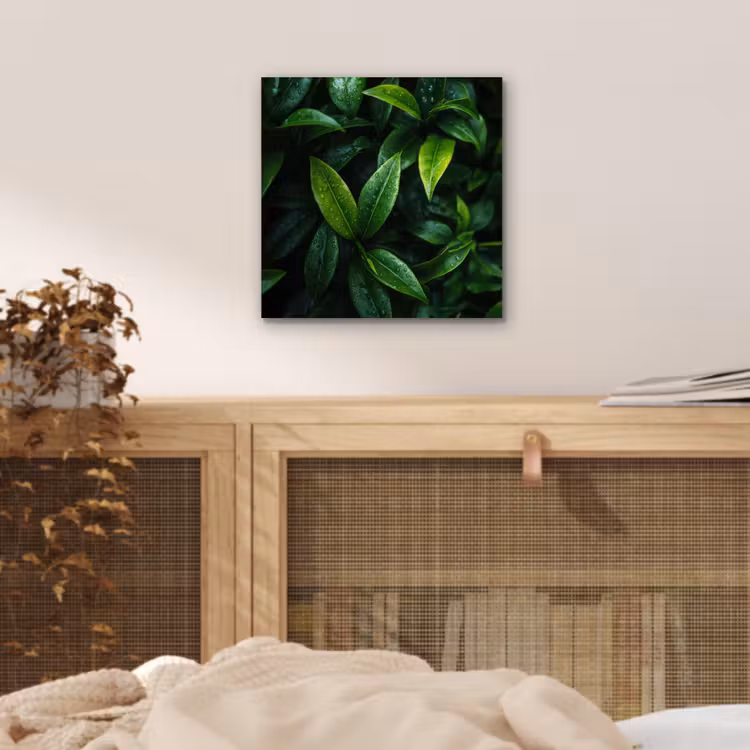 Aluminium schilderij - Bladeren - Regendruppels - Licht - Groen — 4