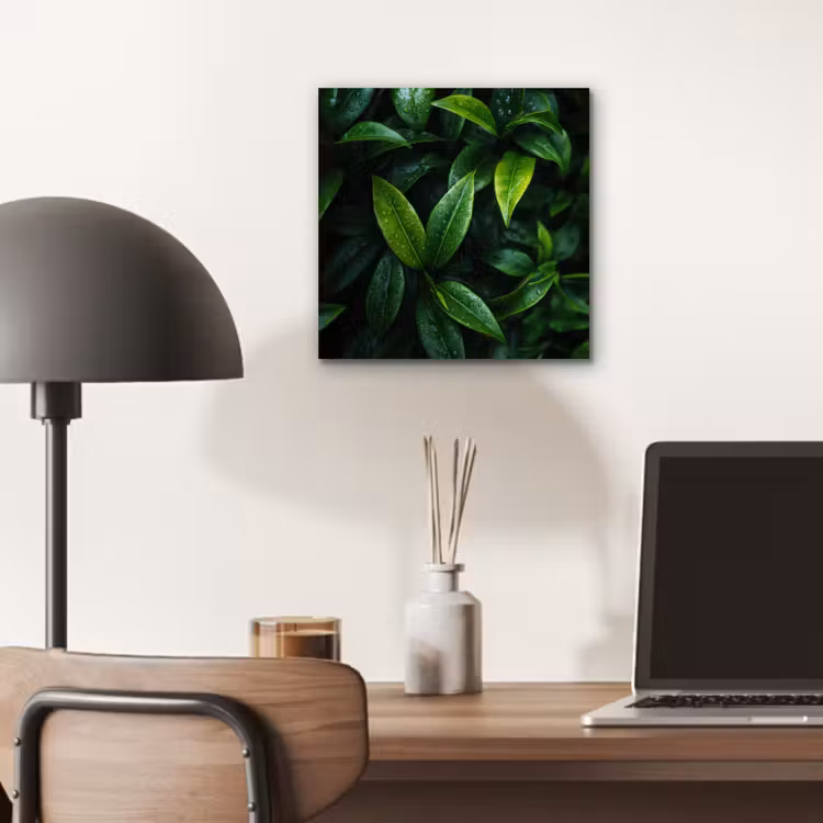 Aluminium schilderij - Bladeren - Regendruppels - Licht - Groen — 6