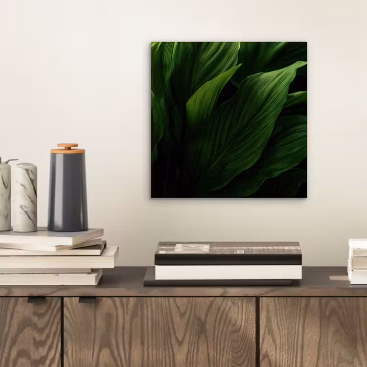 Aluminium schilderij - Bladeren - Schaduw - Groen - Textuur — 2