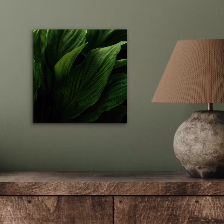 Aluminium schilderij - Bladeren - Schaduw - Groen - Textuur — 3