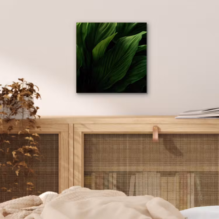 Aluminium schilderij - Bladeren - Schaduw - Groen - Textuur — 4