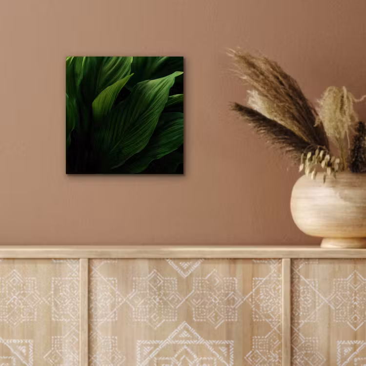 Aluminium schilderij - Bladeren - Schaduw - Groen - Textuur — 5
