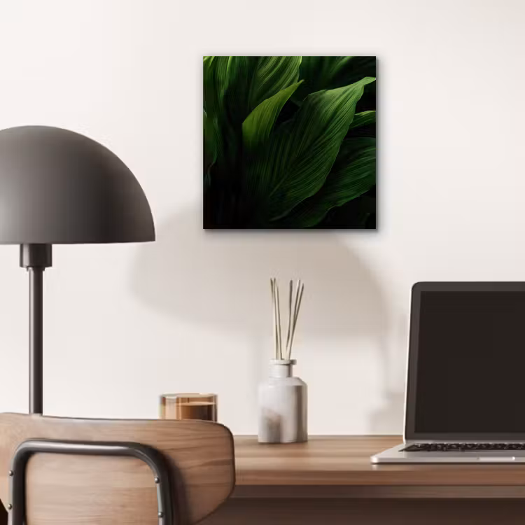 Aluminium schilderij - Bladeren - Schaduw - Groen - Textuur — 6