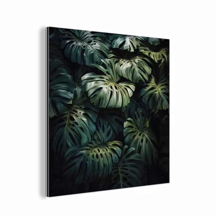 Aluminium schilderij - Plant - Monstera - Lichtinval — 1