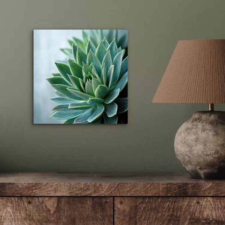 Aluminium schilderij - Vetplant - Bladeren - Groen - Wazig — 3