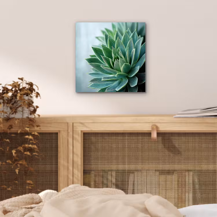 Aluminium schilderij - Vetplant - Bladeren - Groen - Wazig — 4
