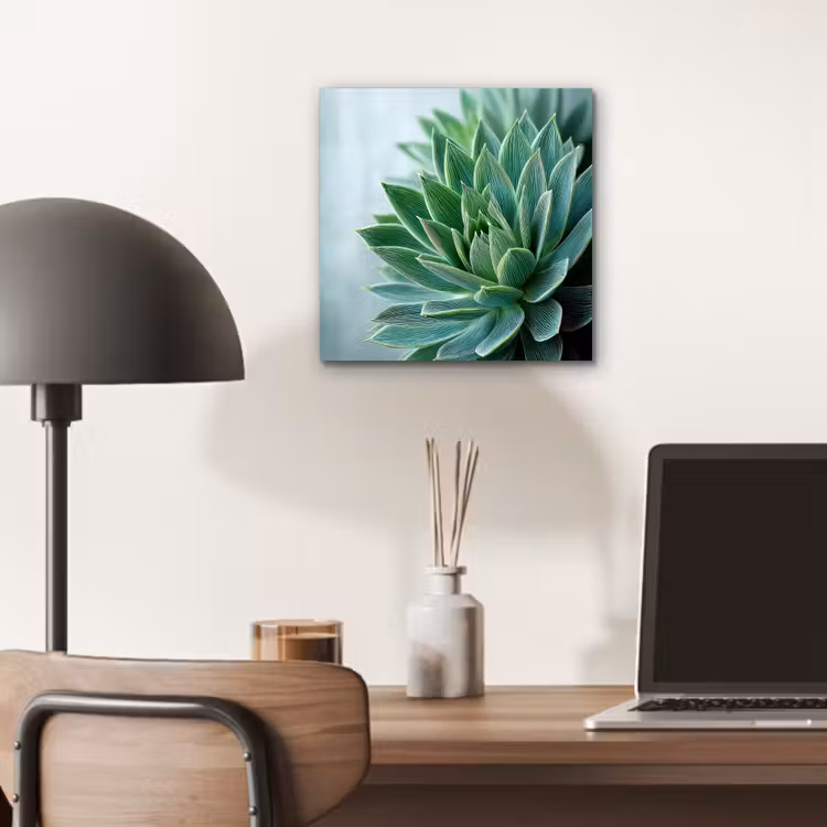 Aluminium schilderij - Vetplant - Bladeren - Groen - Wazig — 6