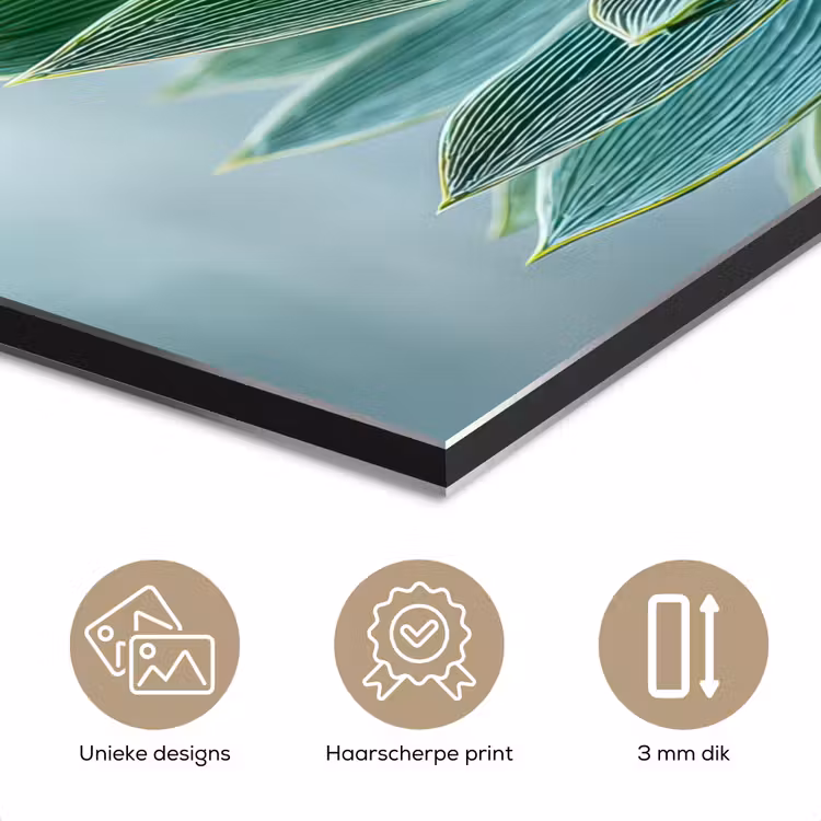 Aluminium schilderij - Vetplant - Bladeren - Groen - Wazig — 7