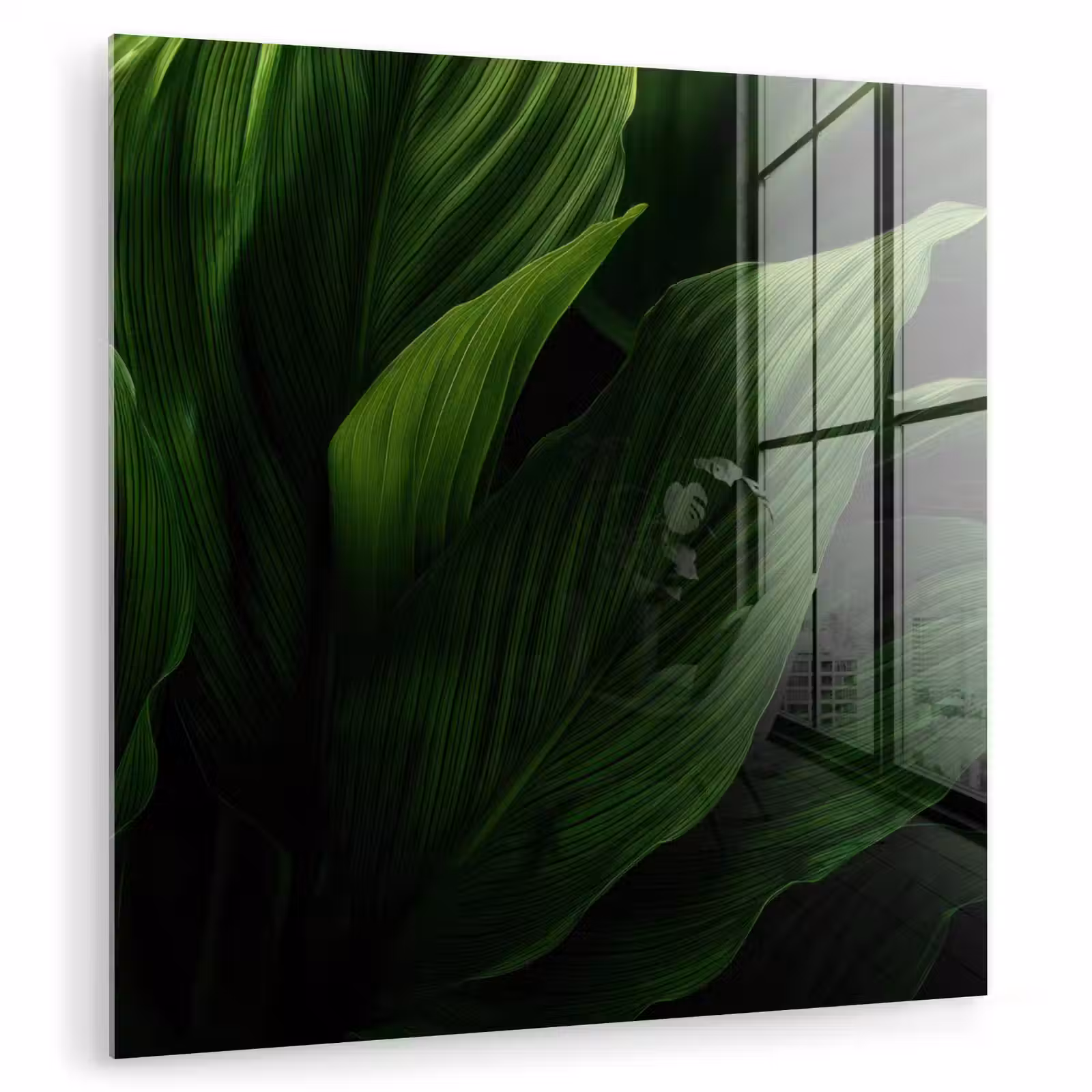 Glas schilderij - Bladeren - Schaduw - Groen - Textuur — 1
