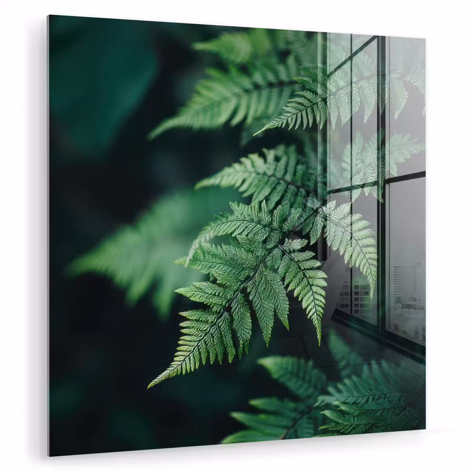 Glas schilderij - Varenblad - Groen - Structuur - Wazig — 1
