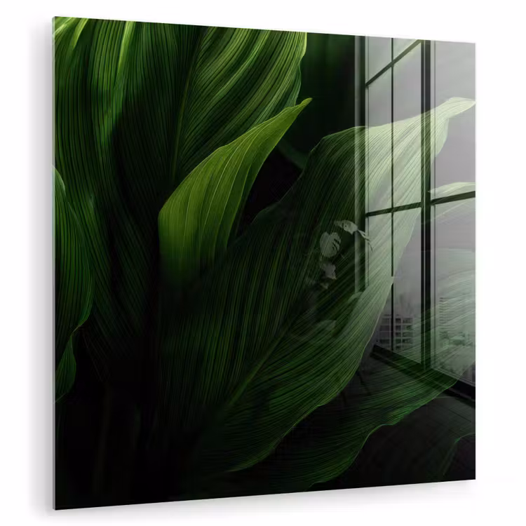 Glas schilderij - Bladeren - Schaduw - Groen - Textuur — 1