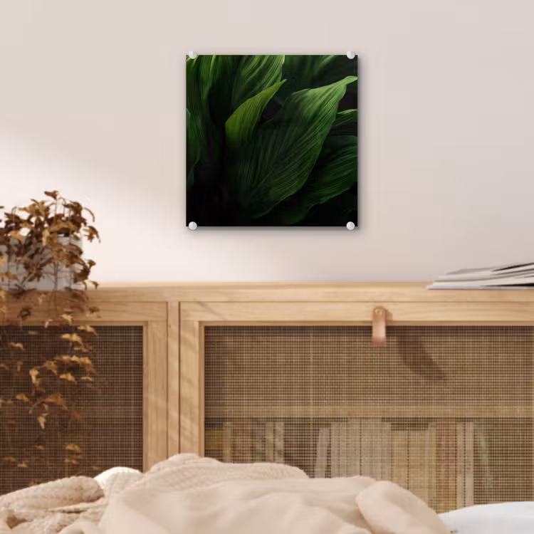 Glas schilderij - Bladeren - Schaduw - Groen - Textuur — 5