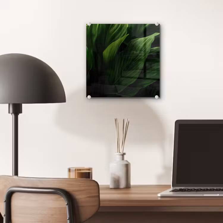 Glas schilderij - Bladeren - Schaduw - Groen - Textuur — 7