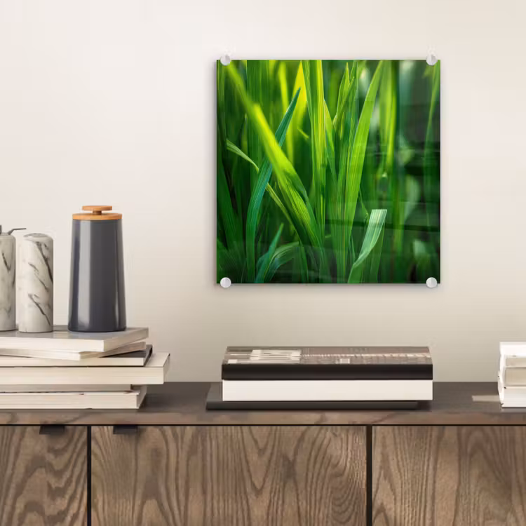 Glas schilderij - Grassprieten - Lichtinval - Groen — 2