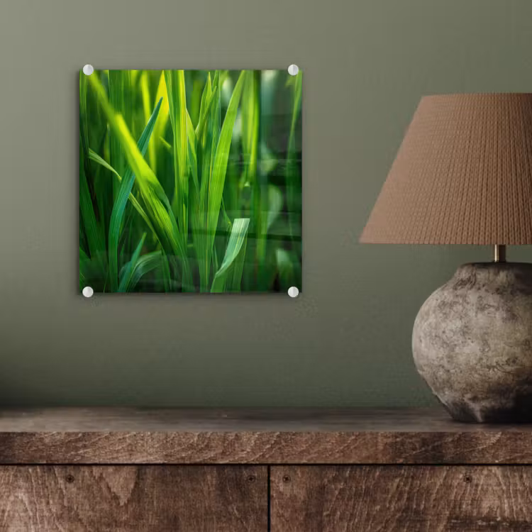 Glas schilderij - Grassprieten - Lichtinval - Groen — 4