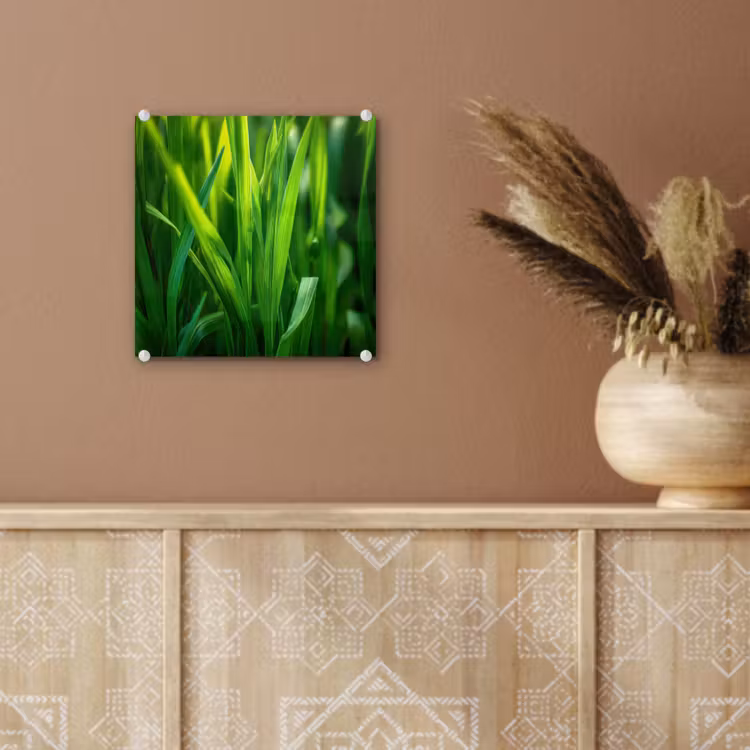 Glas schilderij - Grassprieten - Lichtinval - Groen — 6