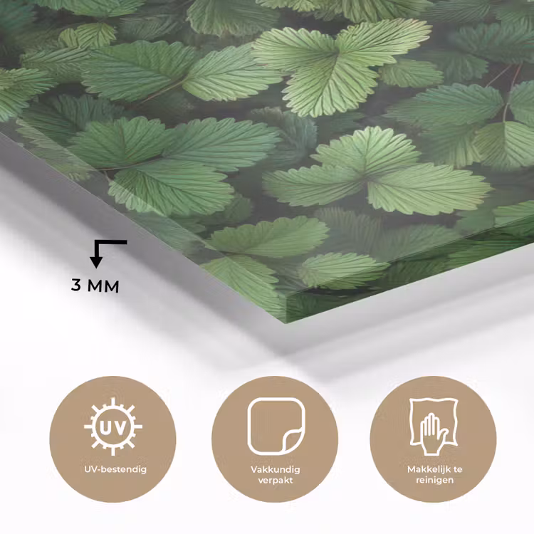 Glas schilderij - Groen - Bladeren - Kartel - Zonlicht — 3