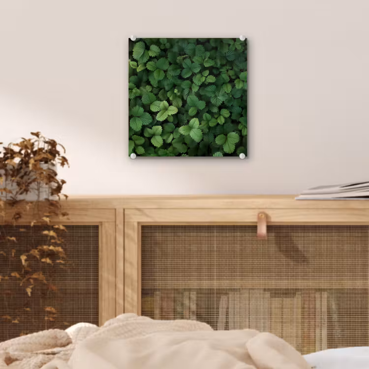 Glas schilderij - Groen - Bladeren - Kartel - Zonlicht — 5