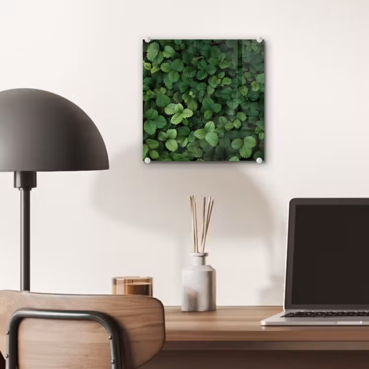 Glas schilderij - Groen - Bladeren - Kartel - Zonlicht — 7