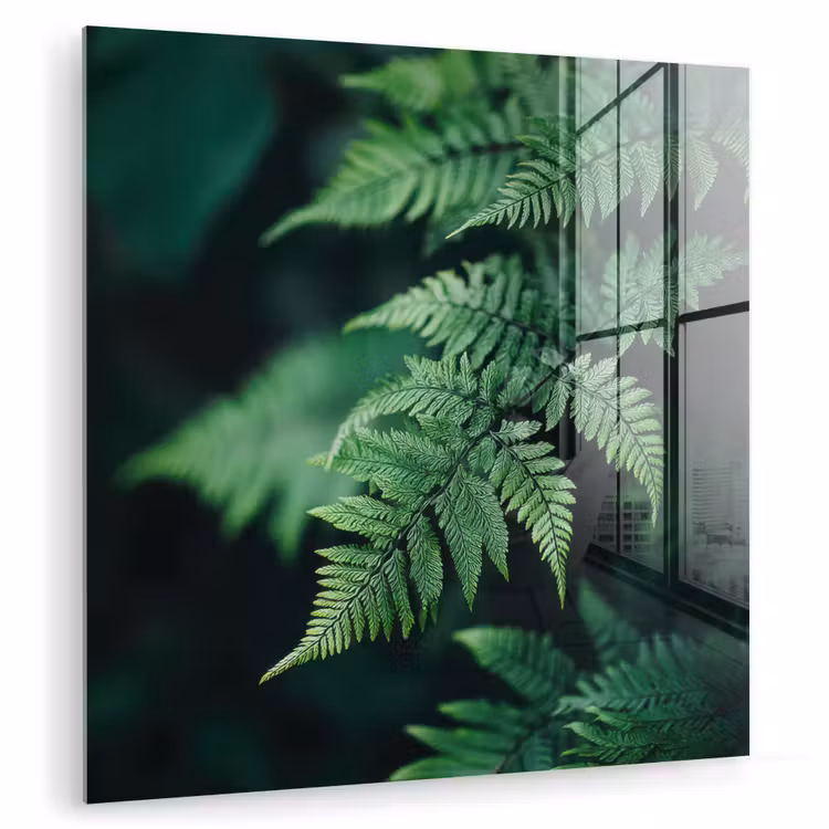 Glas schilderij - Varenblad - Groen - Structuur - Wazig — 1