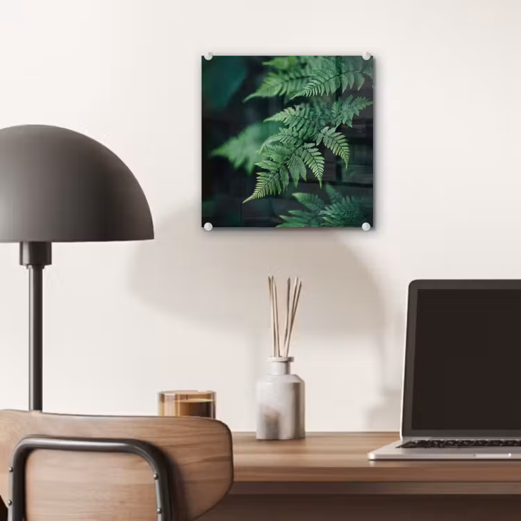 Glas schilderij - Varenblad - Groen - Structuur - Wazig — 7