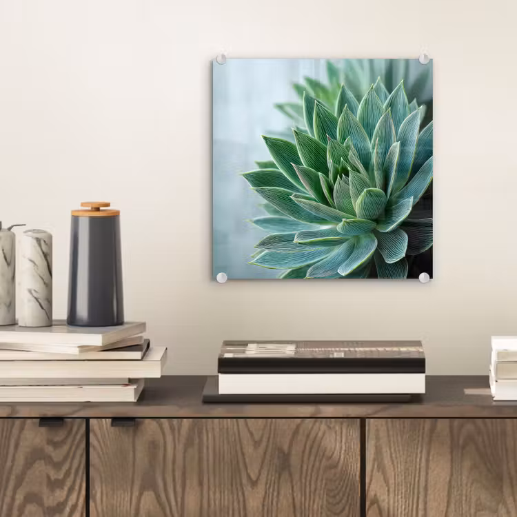 Glas schilderij - Vetplant - Bladeren - Groen - Wazig — 2