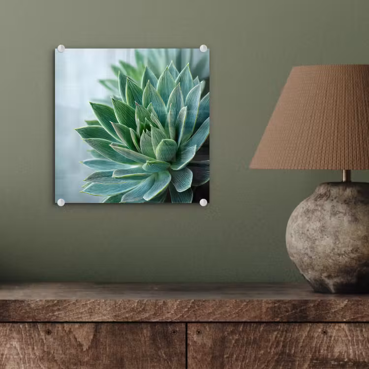 Glas schilderij - Vetplant - Bladeren - Groen - Wazig — 4