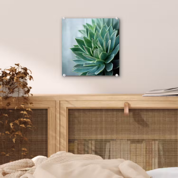 Glas schilderij - Vetplant - Bladeren - Groen - Wazig — 5