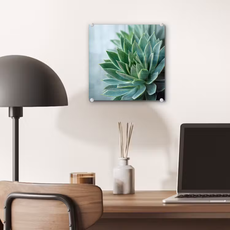 Glas schilderij - Vetplant - Bladeren - Groen - Wazig — 7
