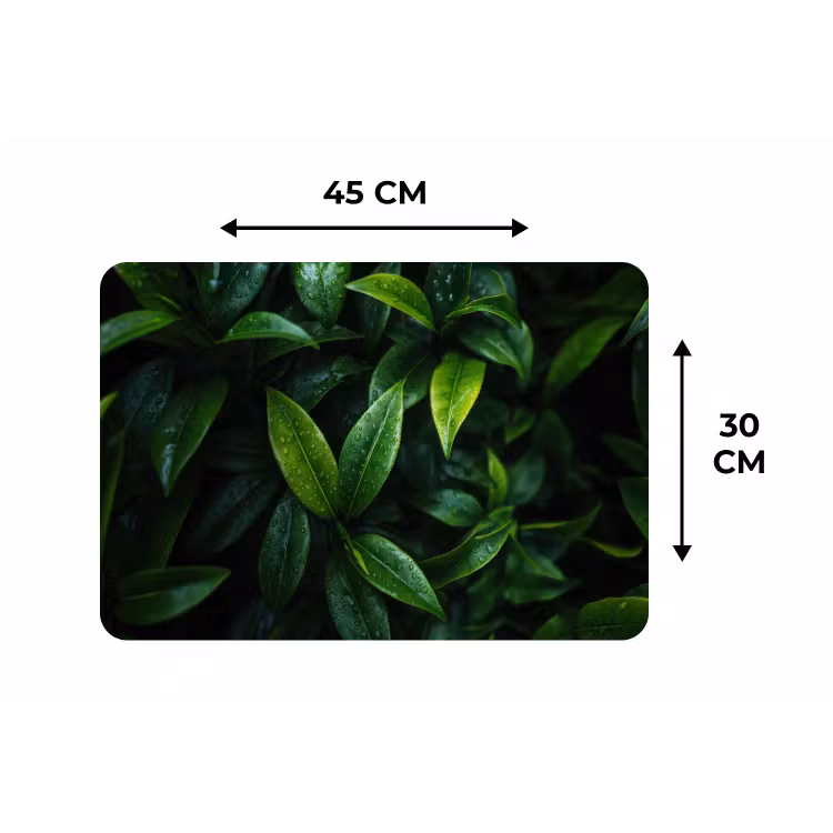 Placemat - 6 stuks - Bladeren - Regendruppels - Licht - Groen — 3
