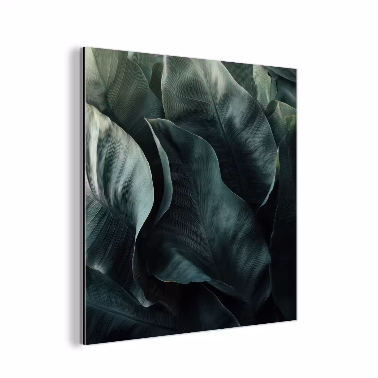 Aluminium schilderij - Groen - Bladeren - Glad - Nerven — 1
