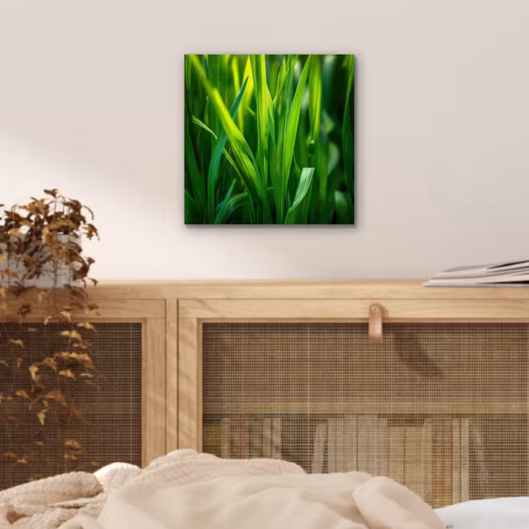 Aluminium schilderij - Grassprieten - Lichtinval - Groen — 4