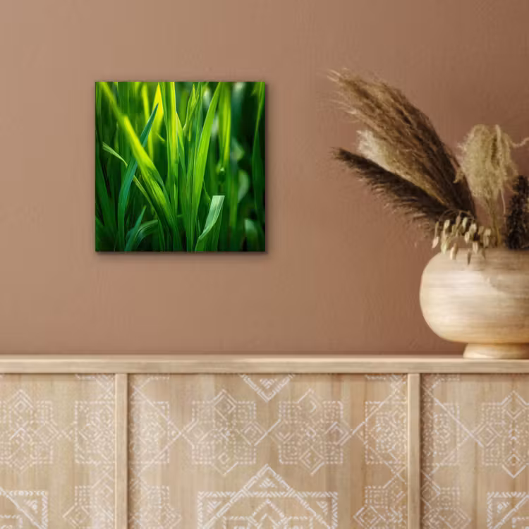 Aluminium schilderij - Grassprieten - Lichtinval - Groen — 5