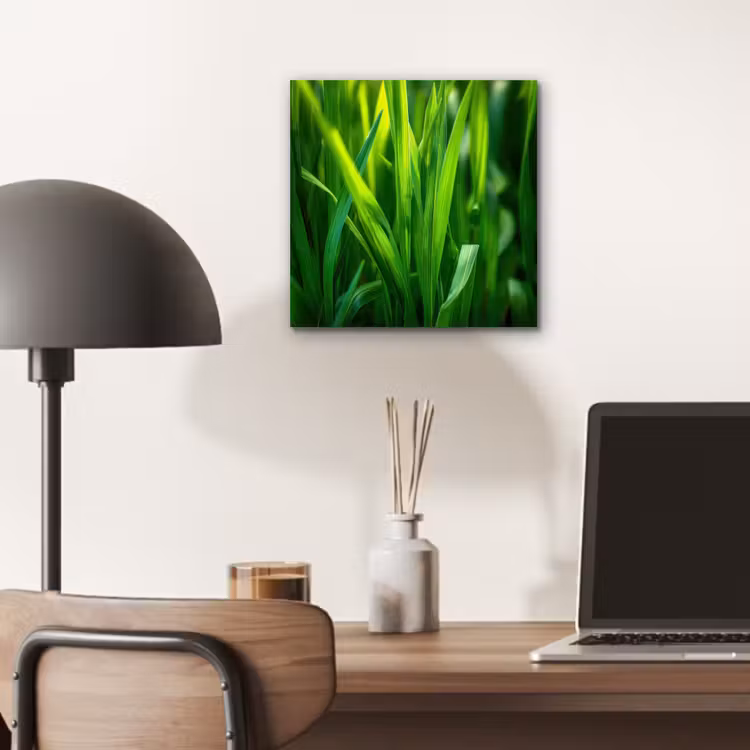 Aluminium schilderij - Grassprieten - Lichtinval - Groen — 6