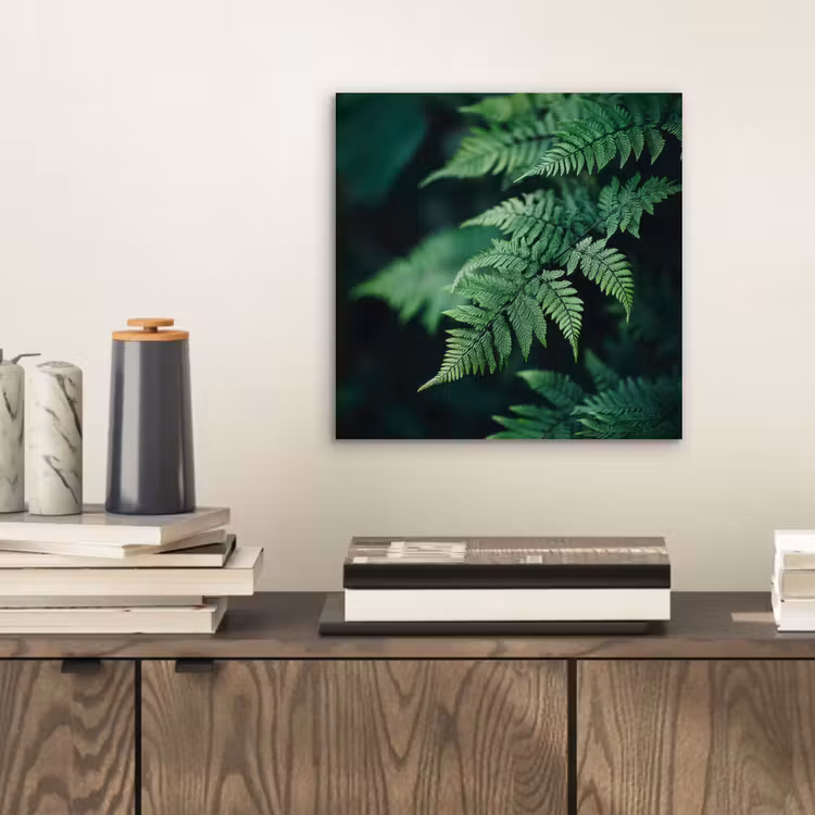 Aluminium schilderij - Varenblad - Groen - Structuur - Wazig — 2
