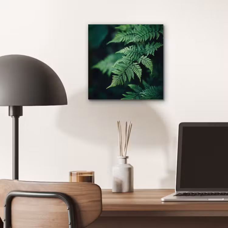 Aluminium schilderij - Varenblad - Groen - Structuur - Wazig — 6