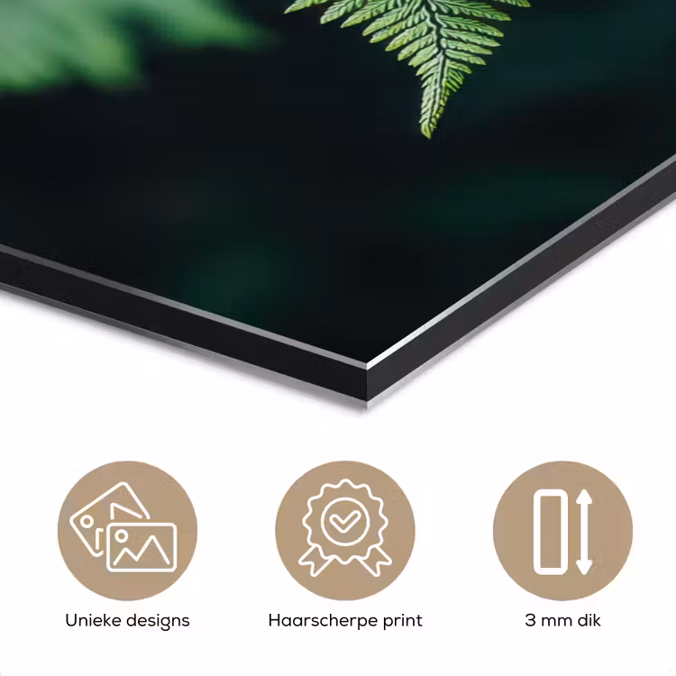 Aluminium schilderij - Varenblad - Groen - Structuur - Wazig — 7