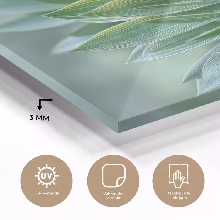 Glas schilderij - Blad - Plant - Groen - Textuur — 3