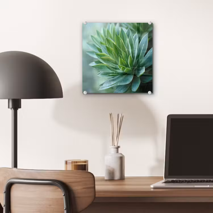 Glas schilderij - Blad - Plant - Groen - Textuur — 7