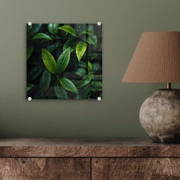 Glas schilderij - Bladeren - Regendruppels - Licht - Groen — 4