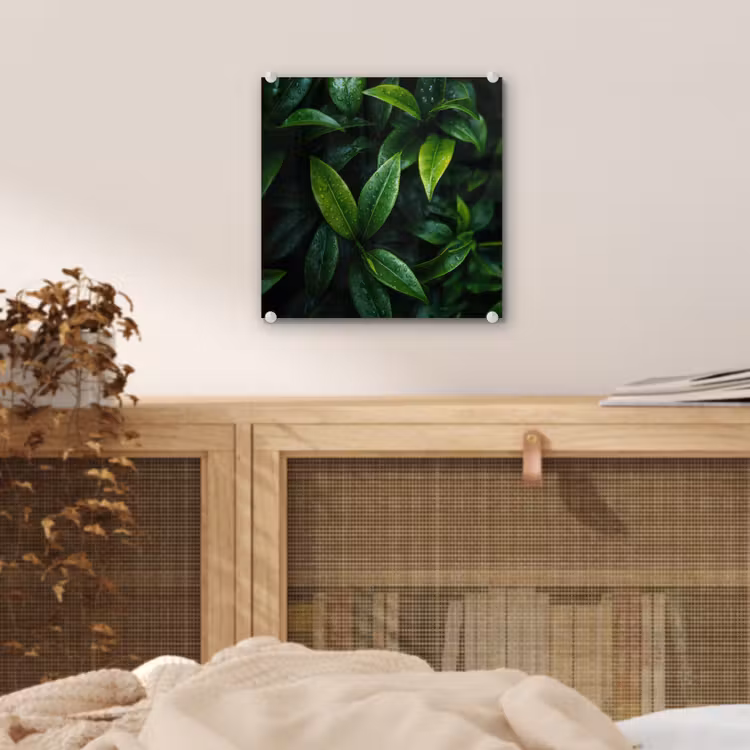 Glas schilderij - Bladeren - Regendruppels - Licht - Groen — 5