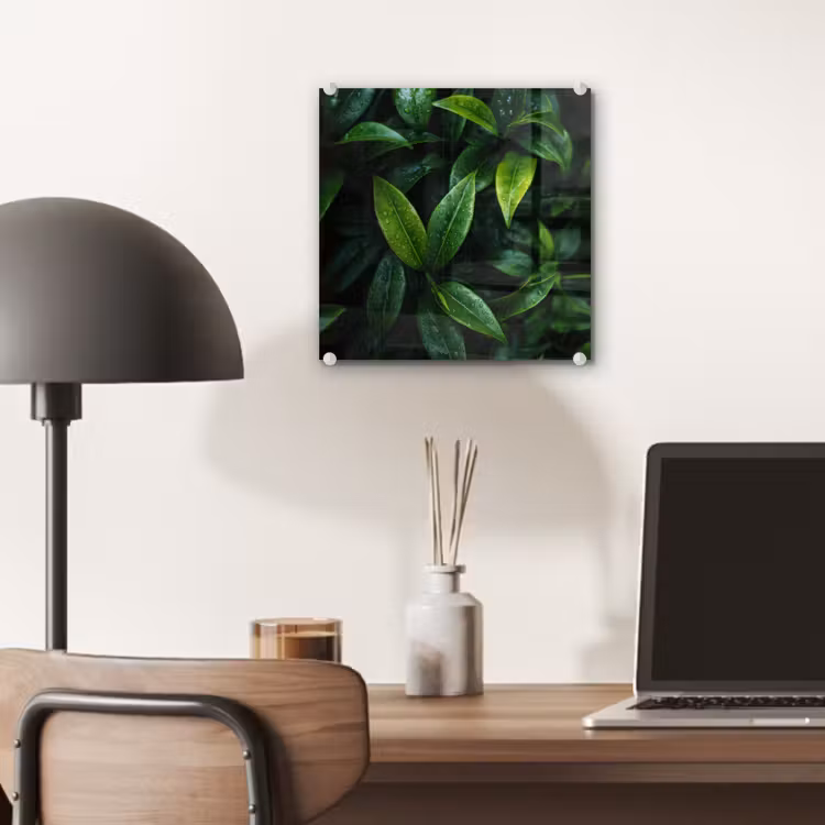 Glas schilderij - Bladeren - Regendruppels - Licht - Groen — 7