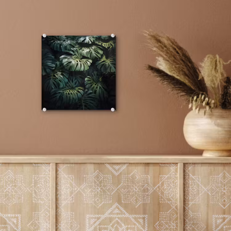 Glas schilderij - Plant - Monstera - Lichtinval — 6