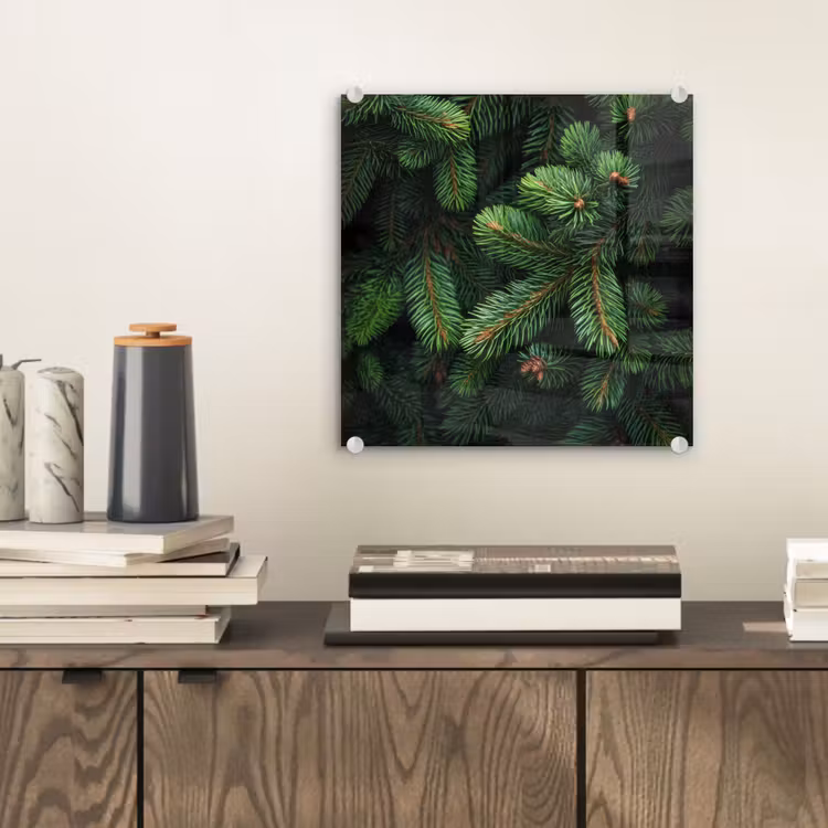Glas schilderij - Sparrentakken - Knoppen - Naalden - Groen — 2