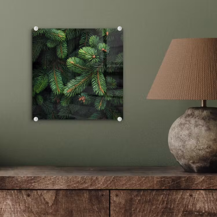 Glas schilderij - Sparrentakken - Knoppen - Naalden - Groen — 4