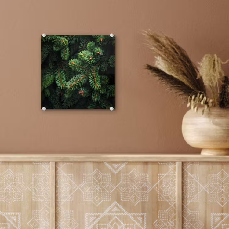 Glas schilderij - Sparrentakken - Knoppen - Naalden - Groen — 6